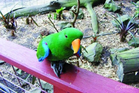 322 Old Creek Rd, Apple Tree Creek, QLD 4660