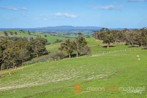Property photo of 565 Ridge Road Humevale VIC 3757