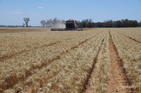 2552 Yarrie Lake Rd, Wee Waa, NSW 2388