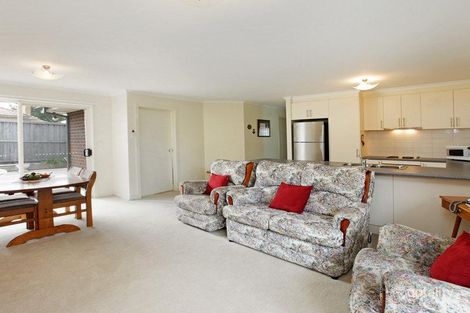 Property photo of 35 Torquay Road Belmont VIC 3216