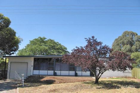 11 Hartman Ave, Modbury, SA 5092