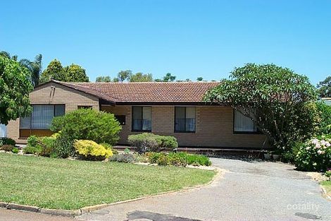 19 Thursley Way, Morley, WA 6062