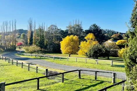 Property photo of 38 Suttor Road Moss Vale NSW 2577