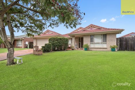 Property photo of 9 Boko Court Rothwell QLD 4022