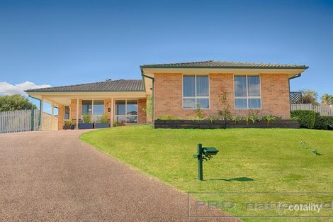 Property photo of 5 Palm Close Ashtonfield NSW 2323