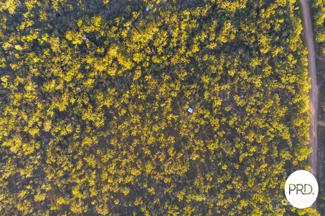 Property photo of 408 Davies Road Captain Creek QLD 4677