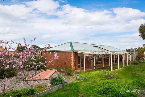 Property photo of 4 Ely Court Castlemaine VIC 3450