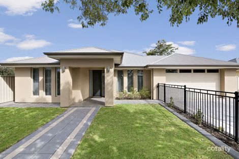 91 Lascelles Ave, Warradale, SA 5046