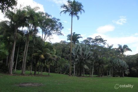 Property photo of 10 Richards Road Julatten QLD 4871
