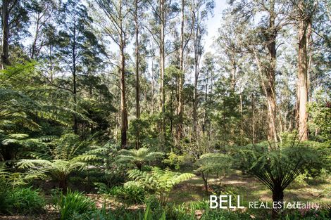 Property photo of 21 Gleghorn Road Kallista VIC 3791