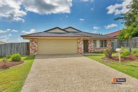 Property photo of 19 Denton Street Upper Coomera QLD 4209