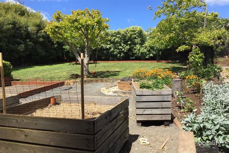 Property photo of 41 Grandview Avenue Park Grove TAS 7320