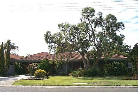 136 Rostrata Ave, Willetton, WA 6155