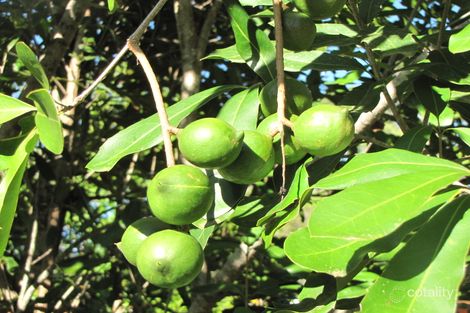 89 Breakneck Rd, Brooloo, QLD 4570