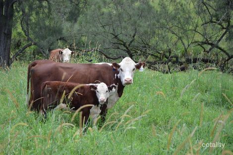 638 Policeman Spur Rd, Conondale, QLD 4552