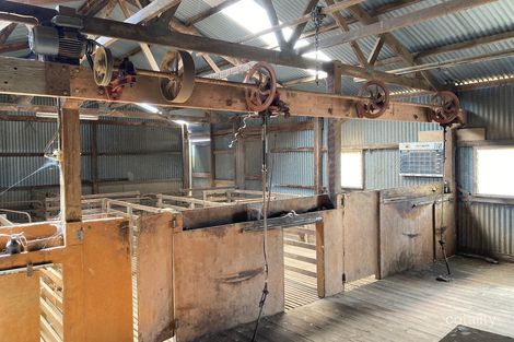 37981 Eyre Hwy, Petina, SA 5680