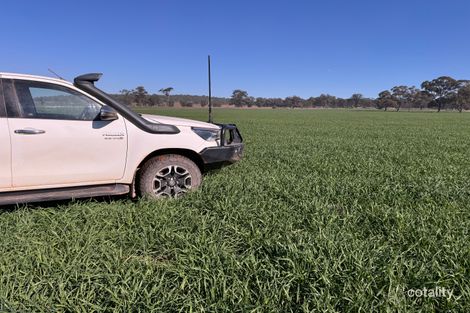 598 Lewes Rd, Weethalle, NSW 2669