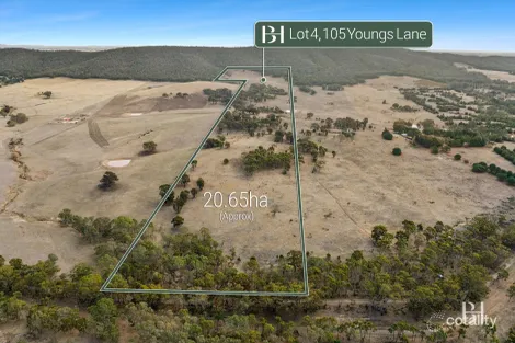 105 Youngs Lane, Tooborac, VIC 3522