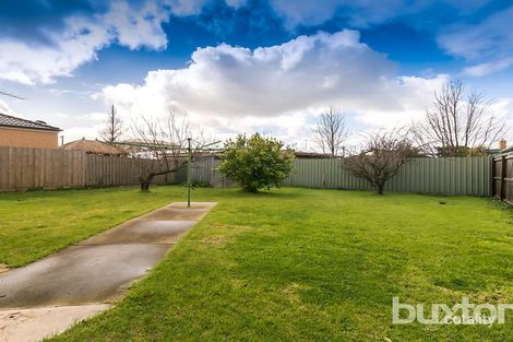 Property photo of 45 Graylea Avenue Herne Hill VIC 3218