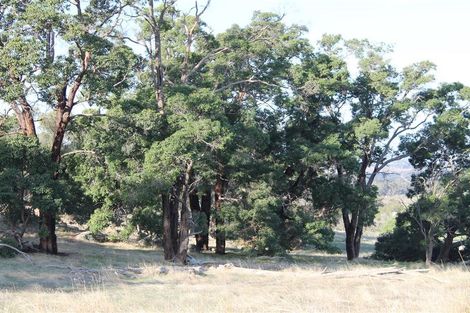 70 Blackboy Gully Rd, Wandering, WA 6308