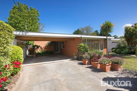 Property photo of 19 Bellaire Court Beaumaris VIC 3193