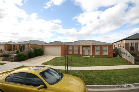 Property photo of 7 Lein Court Highton VIC 3216
