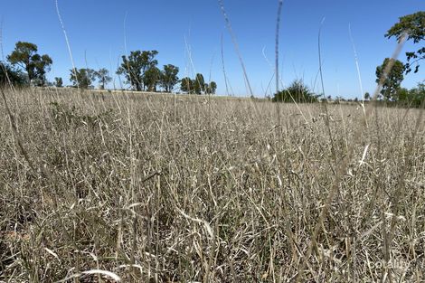 Property photo of 502 Bungeworgorai Lane Dargal Road QLD 4455