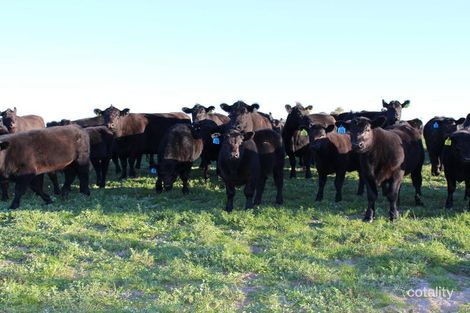 629 Wicks Rd, Laffer, SA 5267