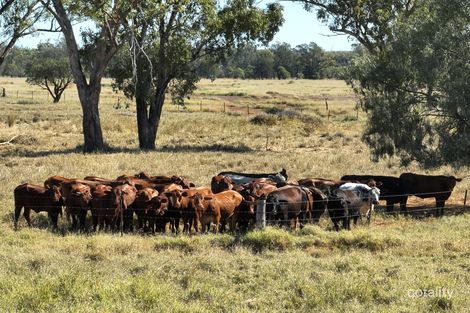 245 Feas Rd, Talwood, QLD 4496