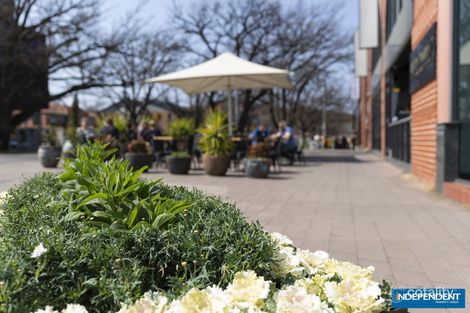 56/32 Mort St, Braddon, ACT 2612