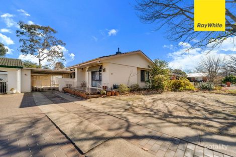 81 Wilshire St, Dickson, ACT 2602