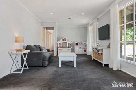 Property photo of 13 Spruce Drive Rowville VIC 3178