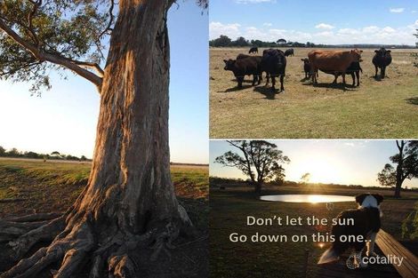 Lot 238 Karle Rd, Toolburra, QLD 4370