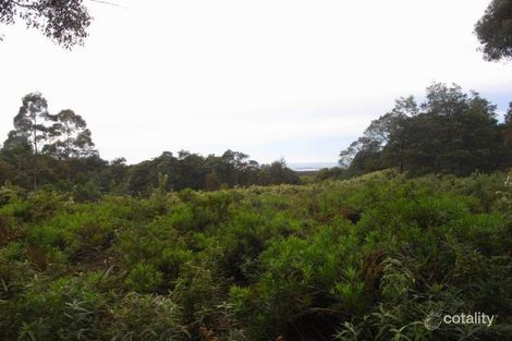 1 Elephant Pass Rd, St Marys, TAS 7215