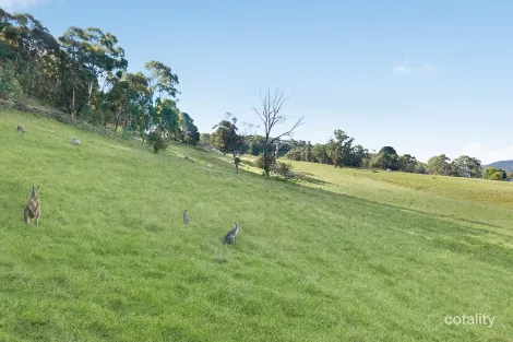 111 Magpie Hollow Rd, South Bowenfels, NSW 2790
