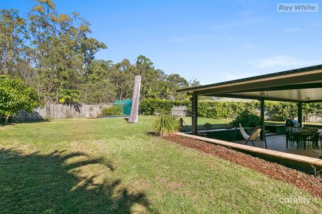 Property photo of 51 Maple Avenue Camira QLD 4300