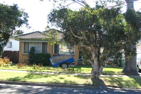 12 Renoir St, Old Toongabbie, NSW 2146