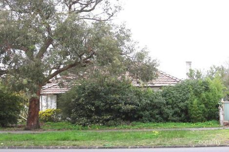 15 Glen Iris Rd, Camberwell, VIC 3124