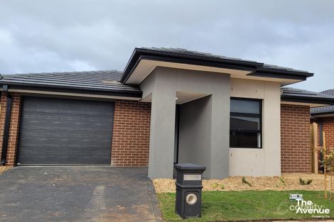 16 Stellar Rd, Bonnie Brook, VIC 3335