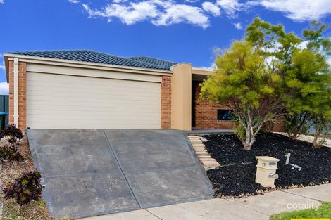 Property photo of 29 Rifflebird Drive Tarneit VIC 3029