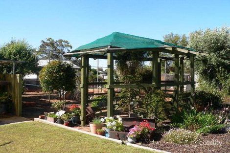 Property photo of 52 Richardson Street Katanning WA 6317
