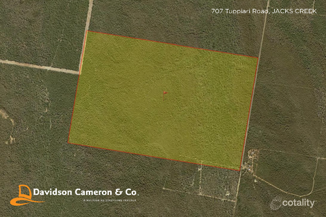 707 Tuppiari Rd, Jacks Creek, NSW 2390