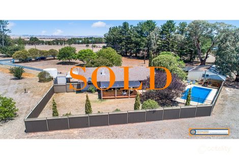 31 Tuberosa Rd, Saumarez, NSW 2350