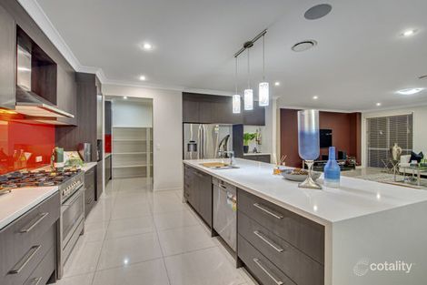 Property photo of 49 Cooper Crescent Rochedale QLD 4123