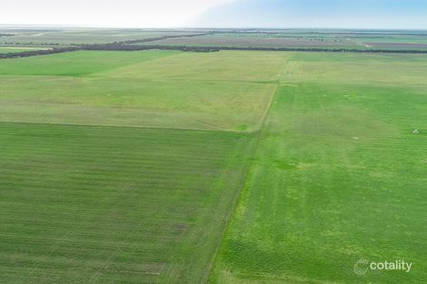 12534 Mallee Hwy, Pinnaroo, SA 5304