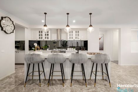 Property photo of 41 Yarrowee Crescent Wollert VIC 3750