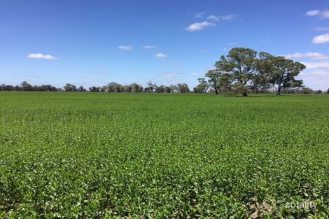 260 Crinogle Rd, Frances, SA 5262