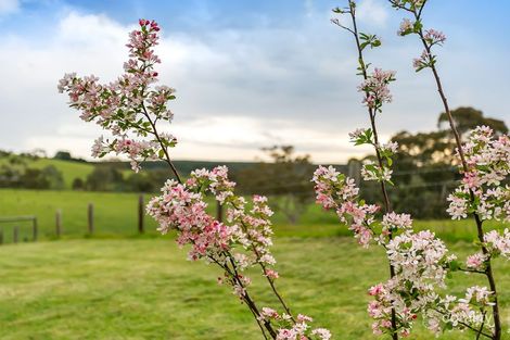 Property photo of 444 Morris Road Prospect Hill SA 5201