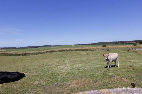 Property photo of 2380 Murchison Highway Henrietta TAS 7325