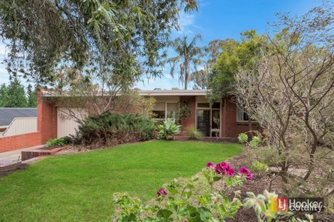Property photo of 24 Waitara Road Banksia Park SA 5091